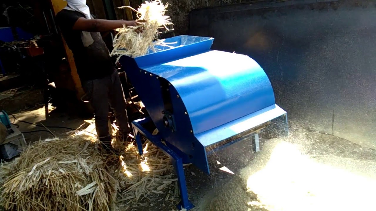 SQUEEZED SUGARCANE RESIDUE SHREDDING