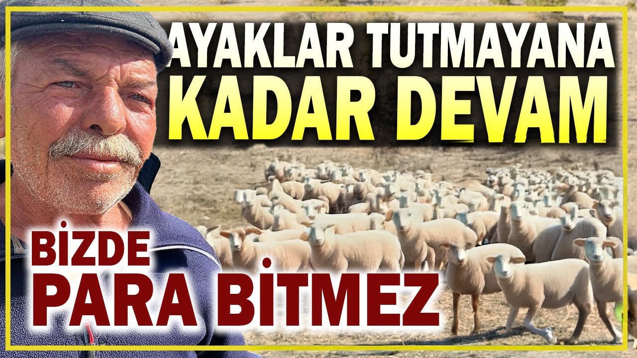 Çoban Osman'ın Hikayesi- Bizde Para Eksik Olmaz - Belgesel İzle