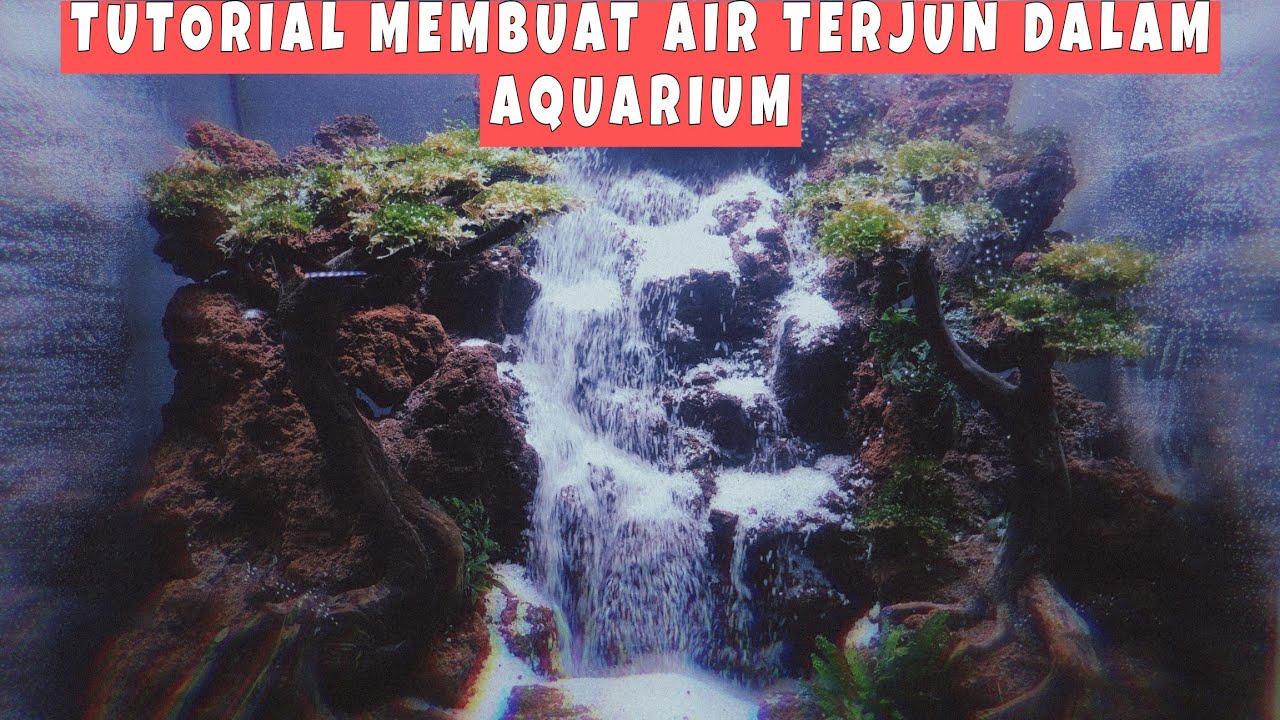 TUTORIAL MEMBUAT TWIN WATER FALL DIDALAM AQUARIUM
