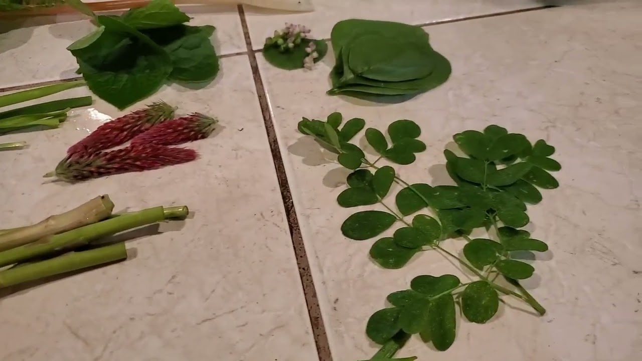 FORAGING for LUNCH