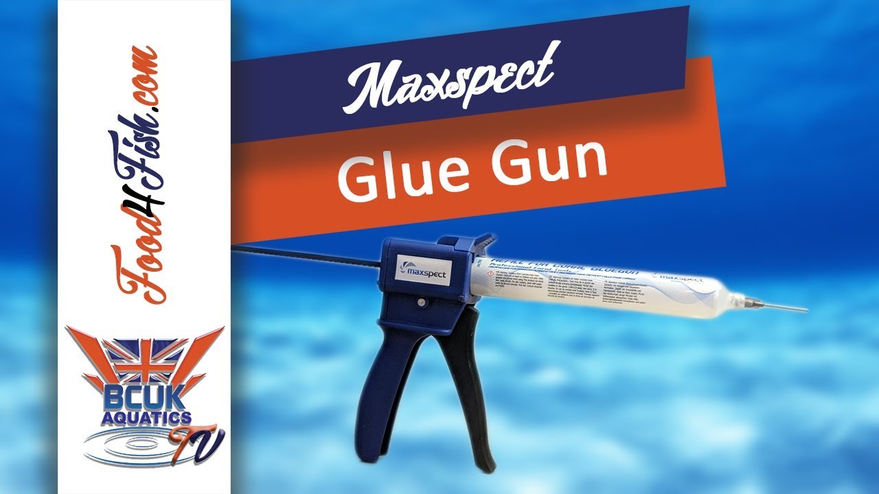 The Maxspect Glue Gun and How To Use It