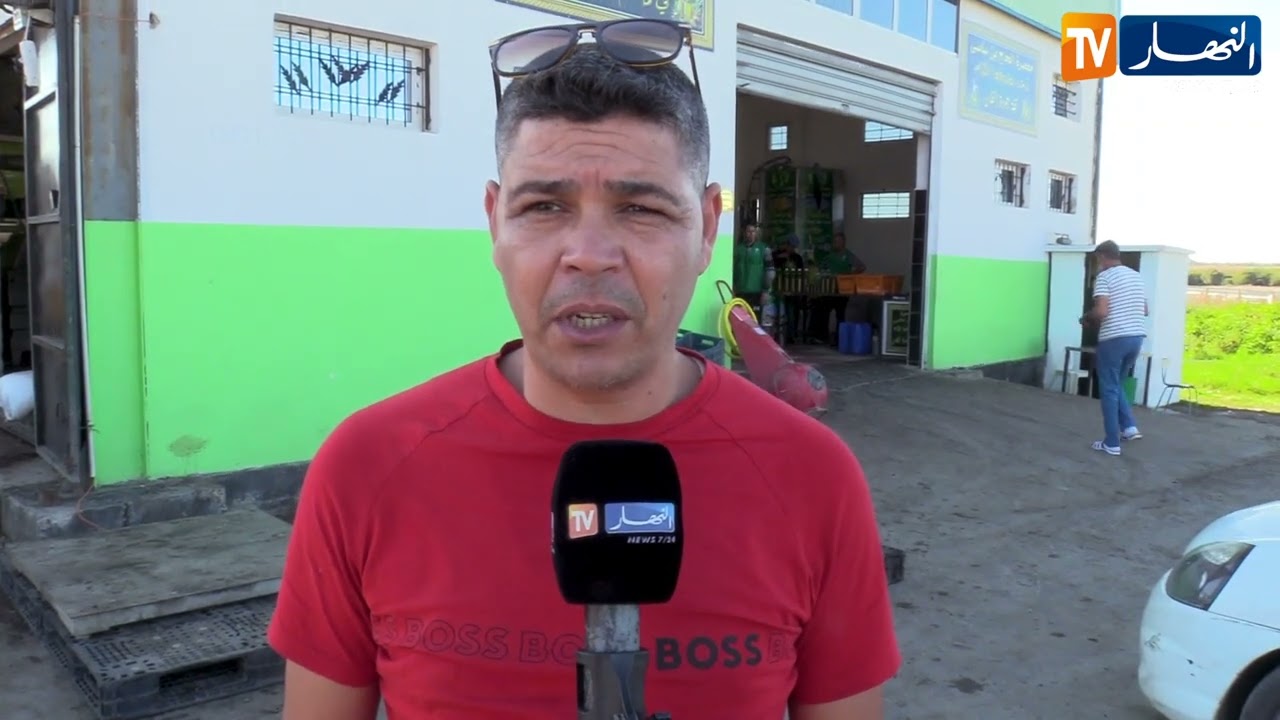 عنابة : معصرة عين الباردة الجديدة تنهي معاناة منتجي الزيتون