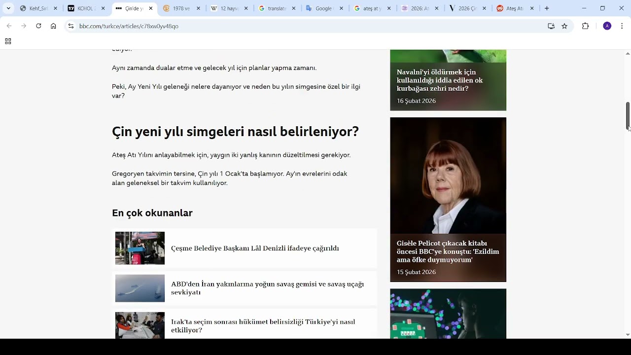 Çin Yeni Yılı                                              ATEŞ - KIZIL AT YILI 