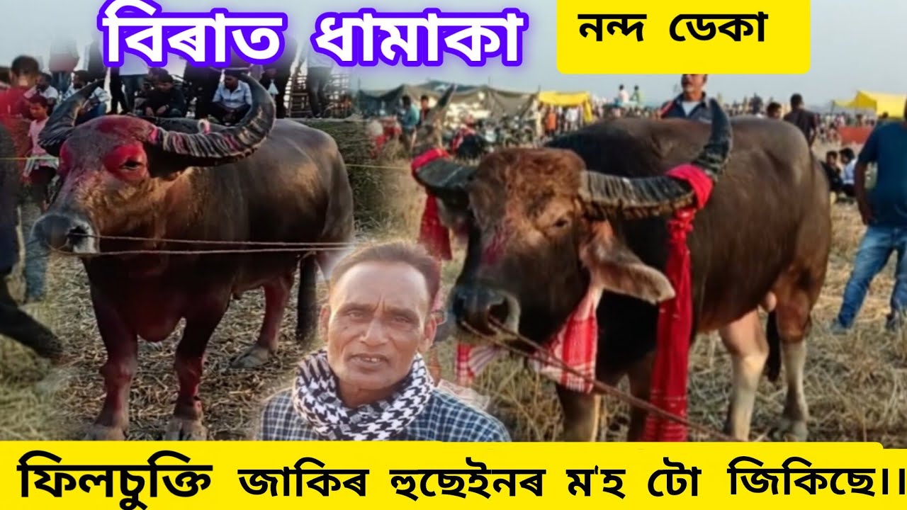 জাকিৰ হুছেইন ফিলচুক্তি।। নন্দ ডেকা ম'হ দুটা 2026//💫
