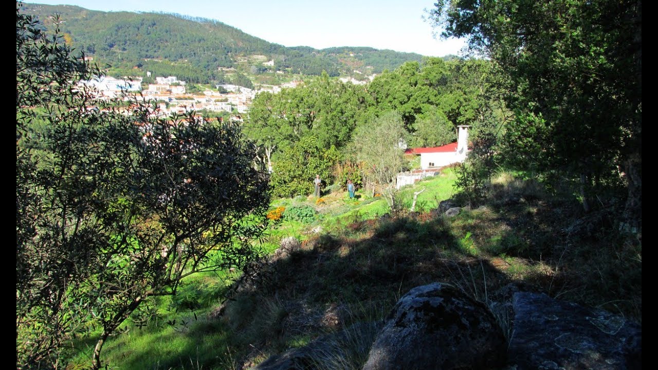 Algarve Wanderwoche Wandern in Monchique zum Picota