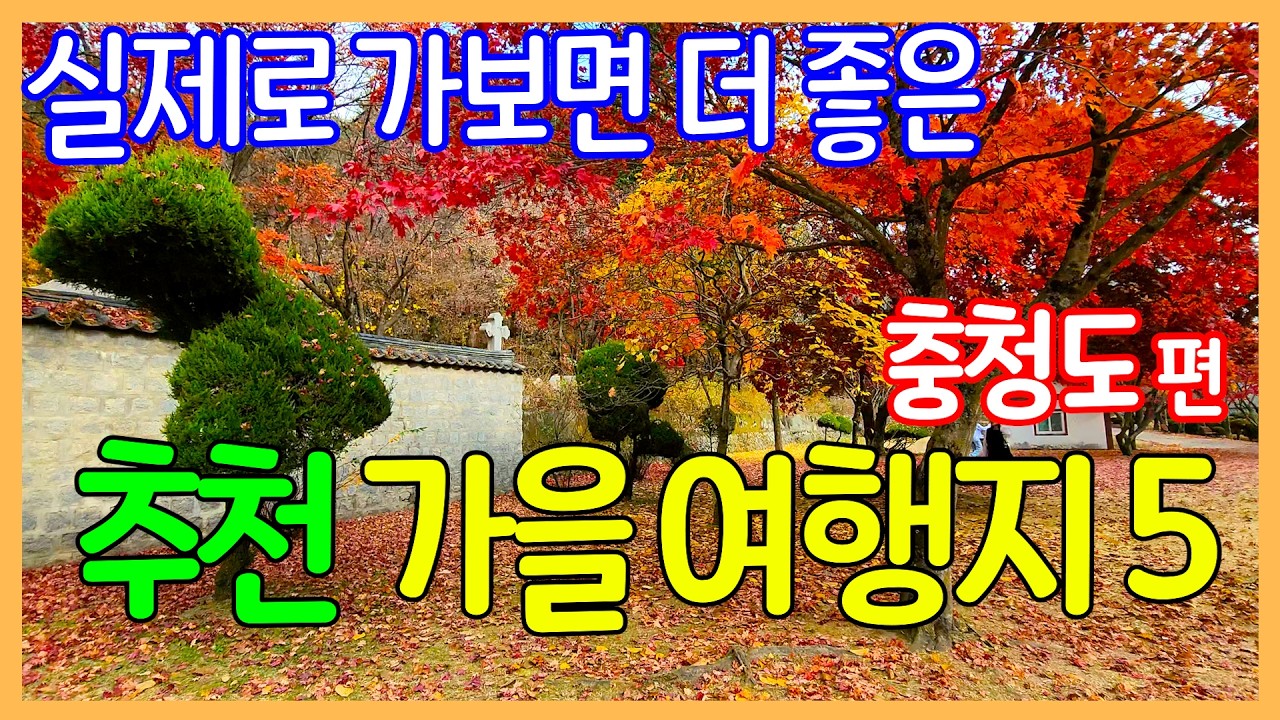 가을 추천 여행지 5곳 (충청도 편) / 단풍 여행 / 외국보다 훨씬 더 멋진 대한민국 여행지 | 10월 11월 여행지 | Travel Korea