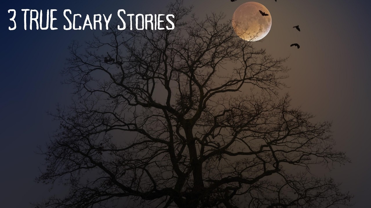 3 TRUE Scary Stories | Rainy Night Ambience