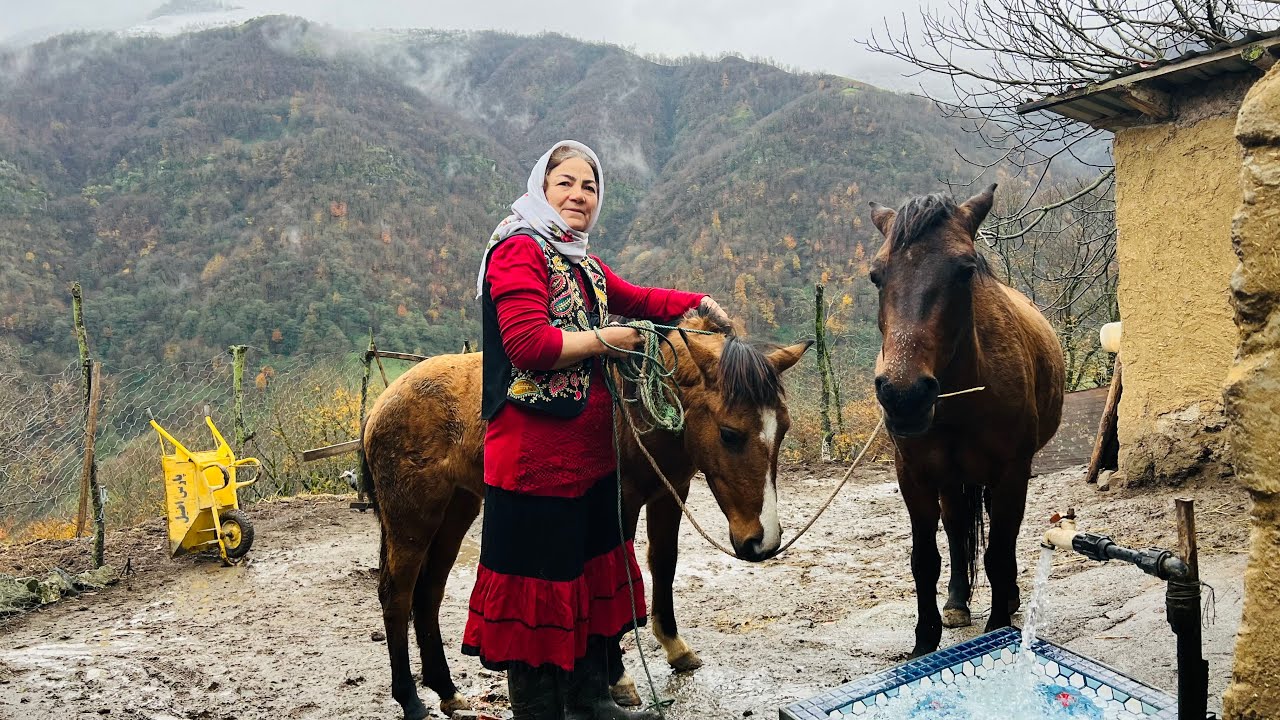 Caring for a Horse & Foal, Horse Riding and Cooking Halva & Sweet Bread with Grandma