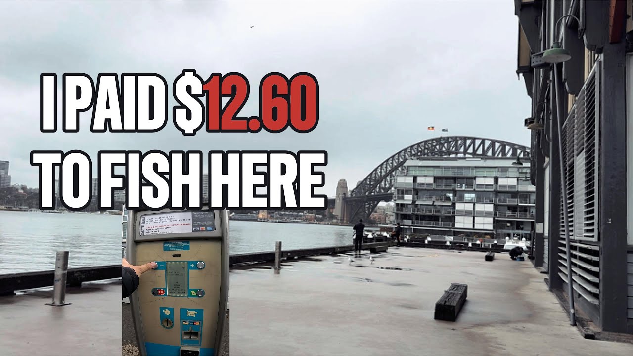I paid $12.60 to fish the Harbour... Worth It?