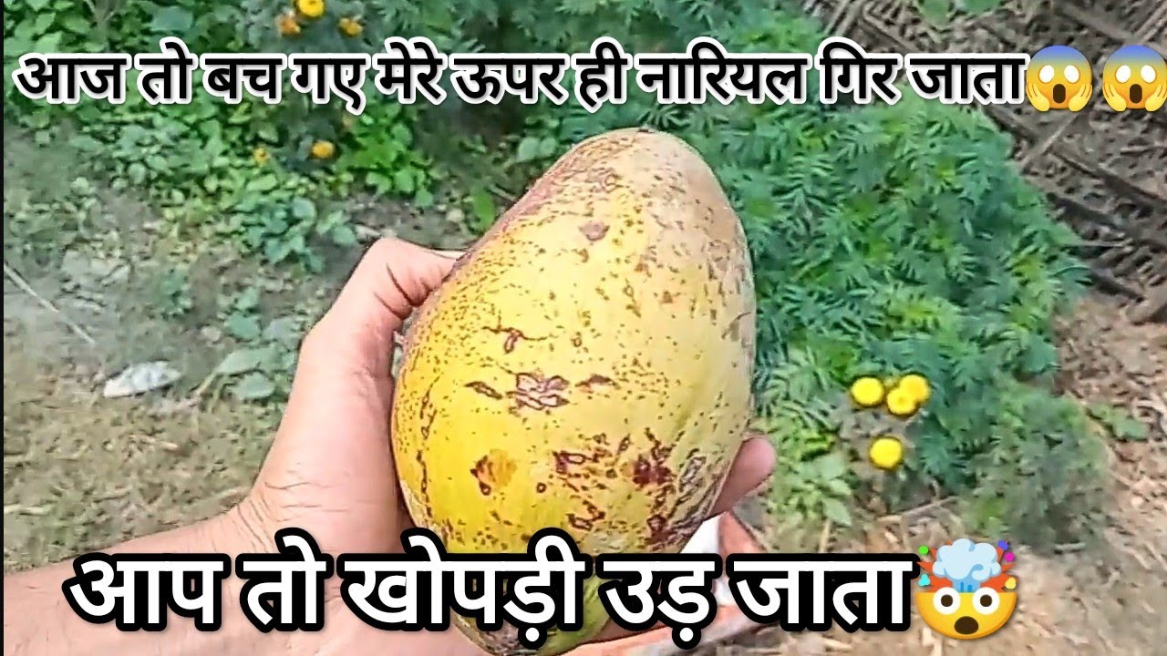Aaj Sudarshan aapna bike saff kr rha hai aur mama daily ke tarah aapna dwai kha rhi hai