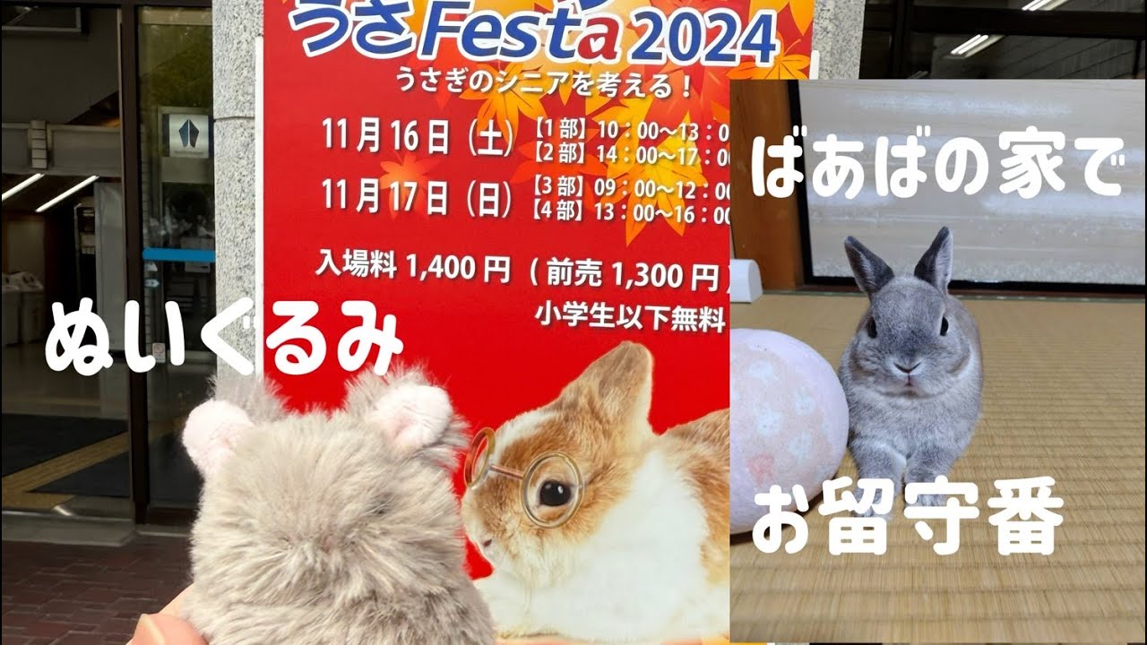 うさフェスタ2024秋に行ってきました