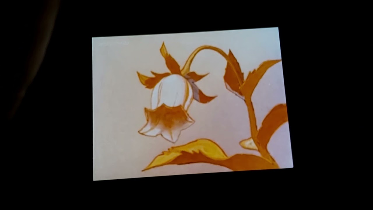 Maya The Bee intro Arabic TOONS ARABIC