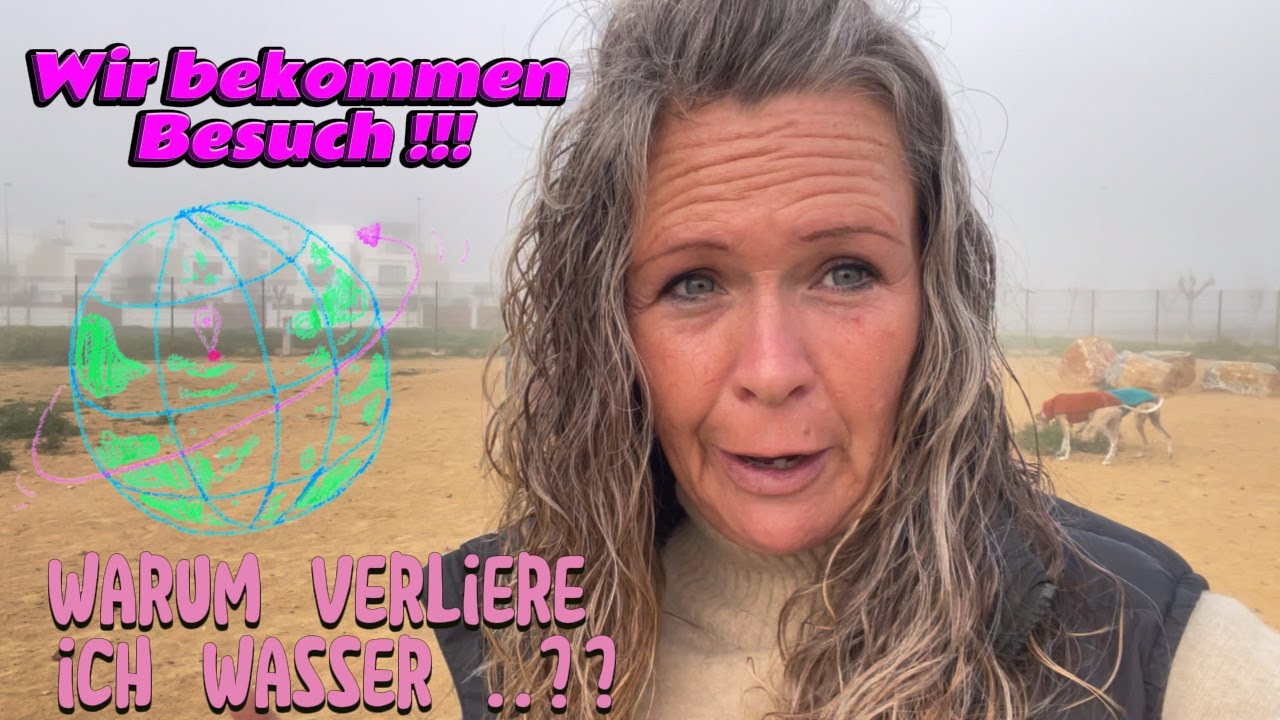 Ich lebe und reise mit meinen drei Hunden im Wohnmobil 🚐❤️🇪🇸