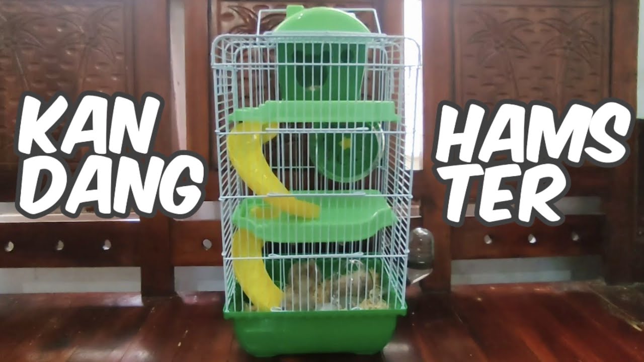 GAMPANG BANGET DIRAKIT! Review Kandang Hamster 3 Tingkat + Perosotan & Rumah