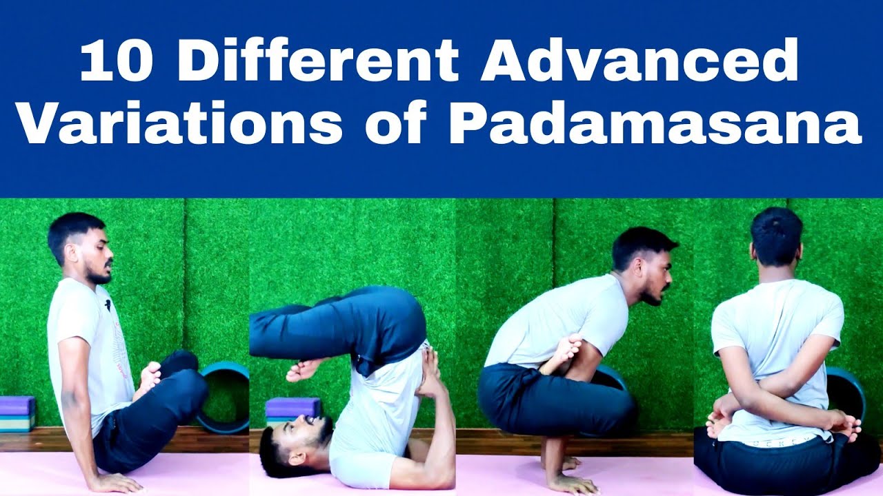How To Do Padamasana/Advanced Variation Of Padam Asana/Different Variation Of Padamasana-Yoga Saathi
