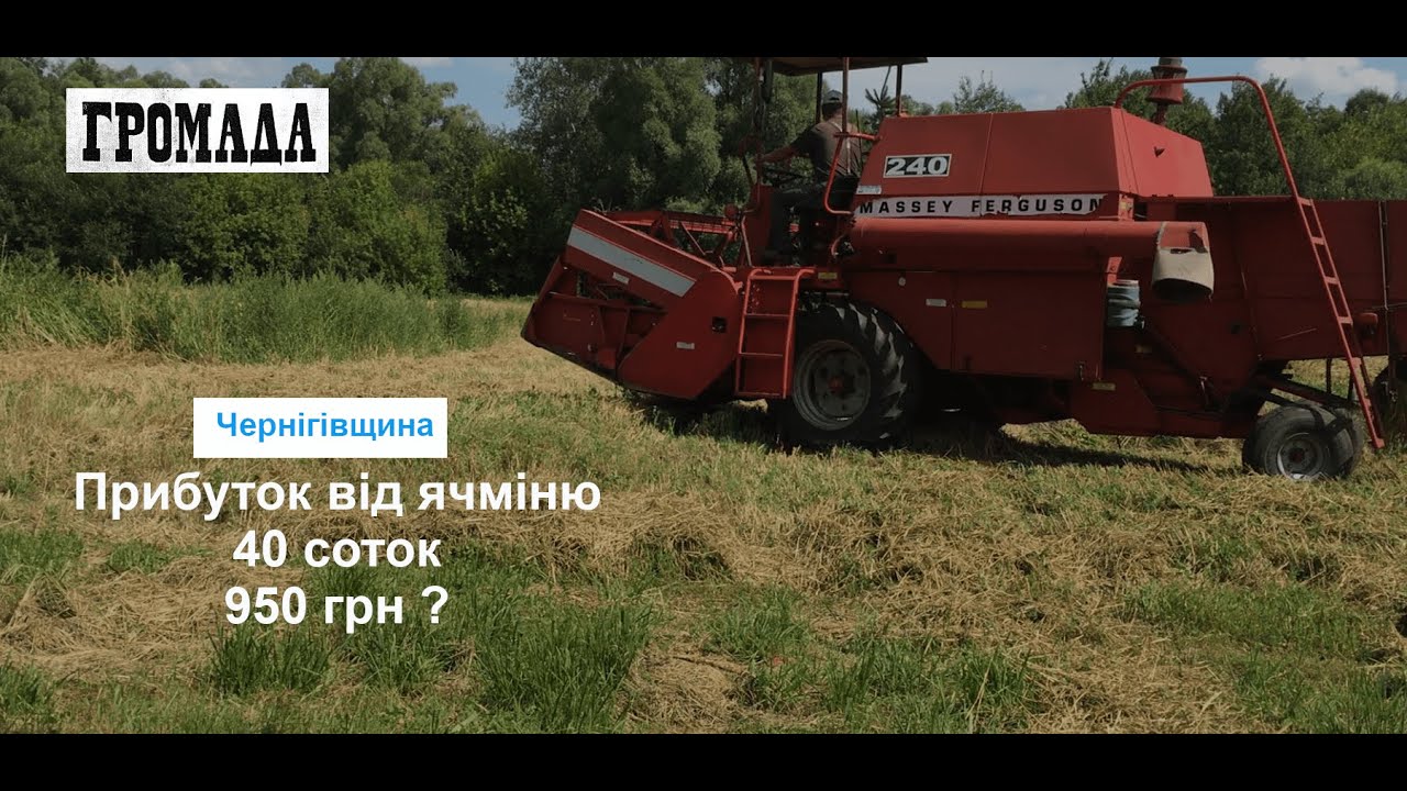 ЯЧМІНЬ НЕ ВИГІДНО Прибуток від 40 сот  - 950 грн ? Комбайн Massey Ferguson 240 Молотим 2023