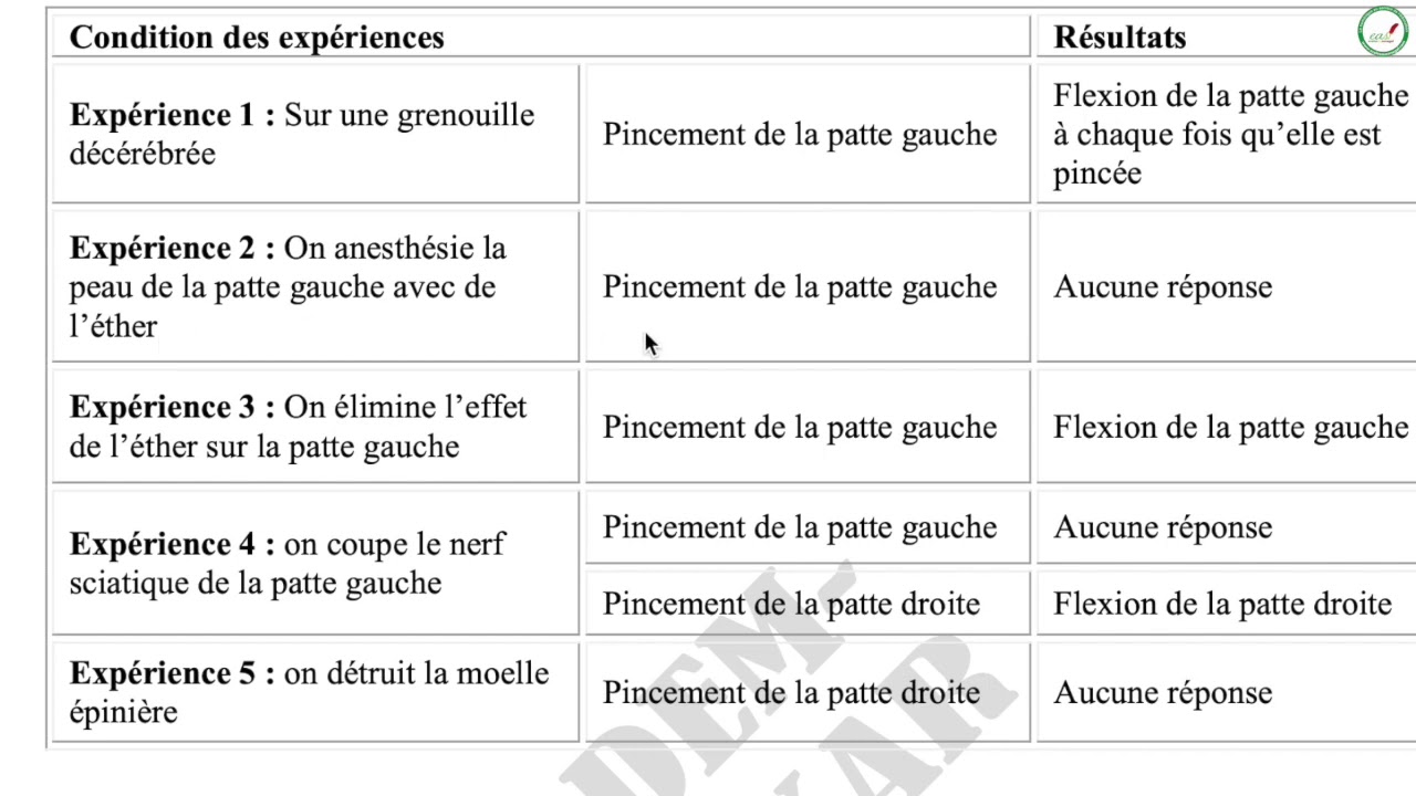 Exercices - Troisième - SVT : Réaction réflexe / Suite 1 / M. Diallo