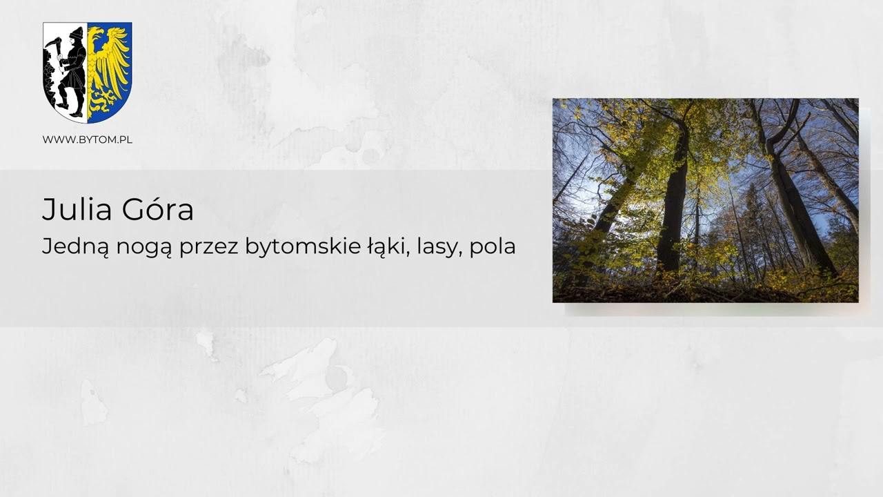 Julia Góra - Jedną nogą przez bytomskie łąki, pola, lasy