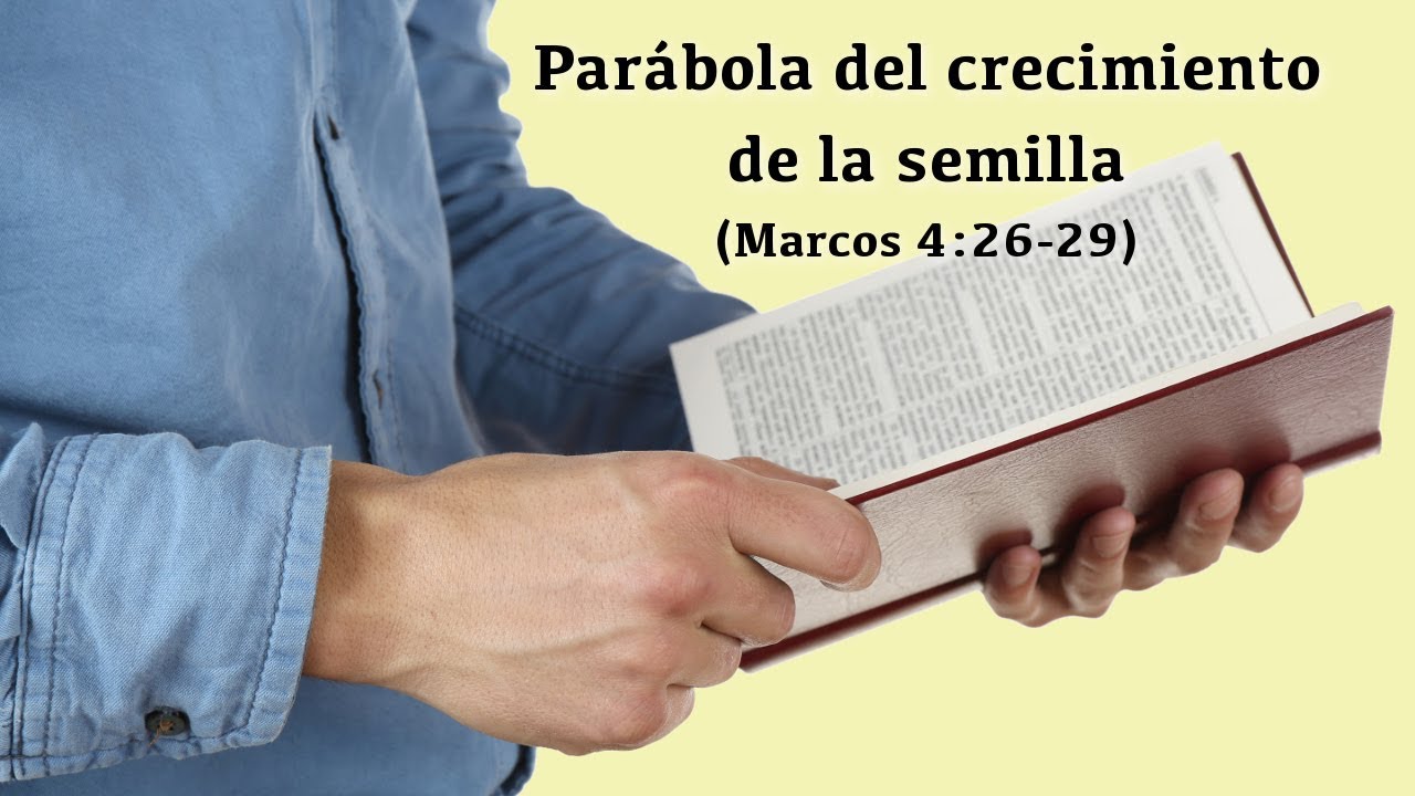Parábola del crecimiento de la semilla (Marcos 4:26-29)