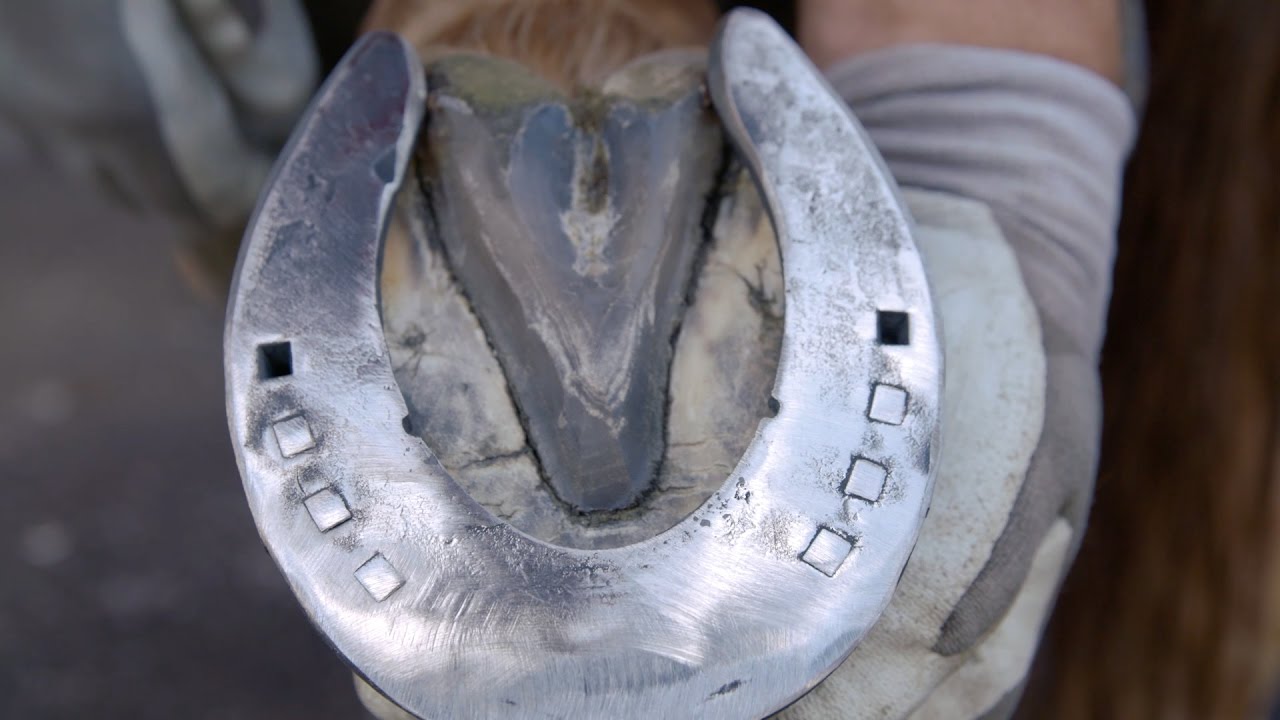Imagefilm - Hufschmied: Ein besonderes Handwerk