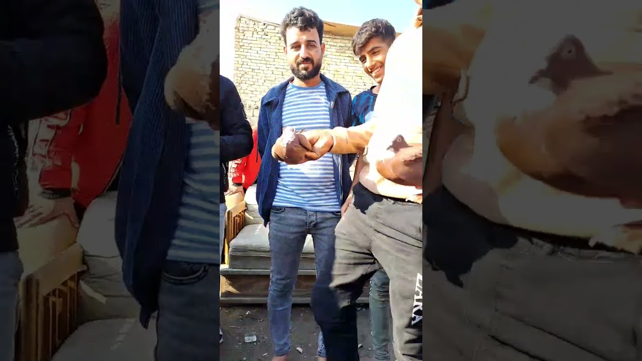 نتيجة فكة الكابتن شكري القريشي صاد ٥ طيور بالتوفيق لجميع
