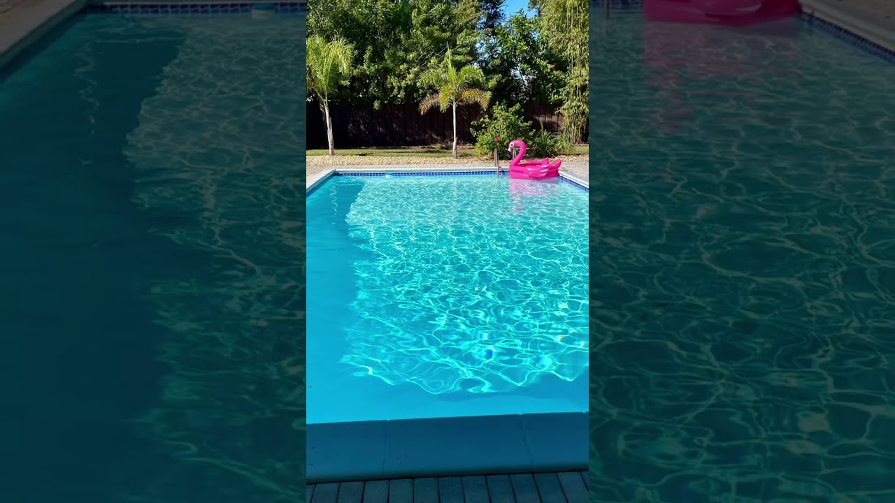 Clearwater Paradise: Luxury Airbnb House with Pool, Hot Tub, and More!