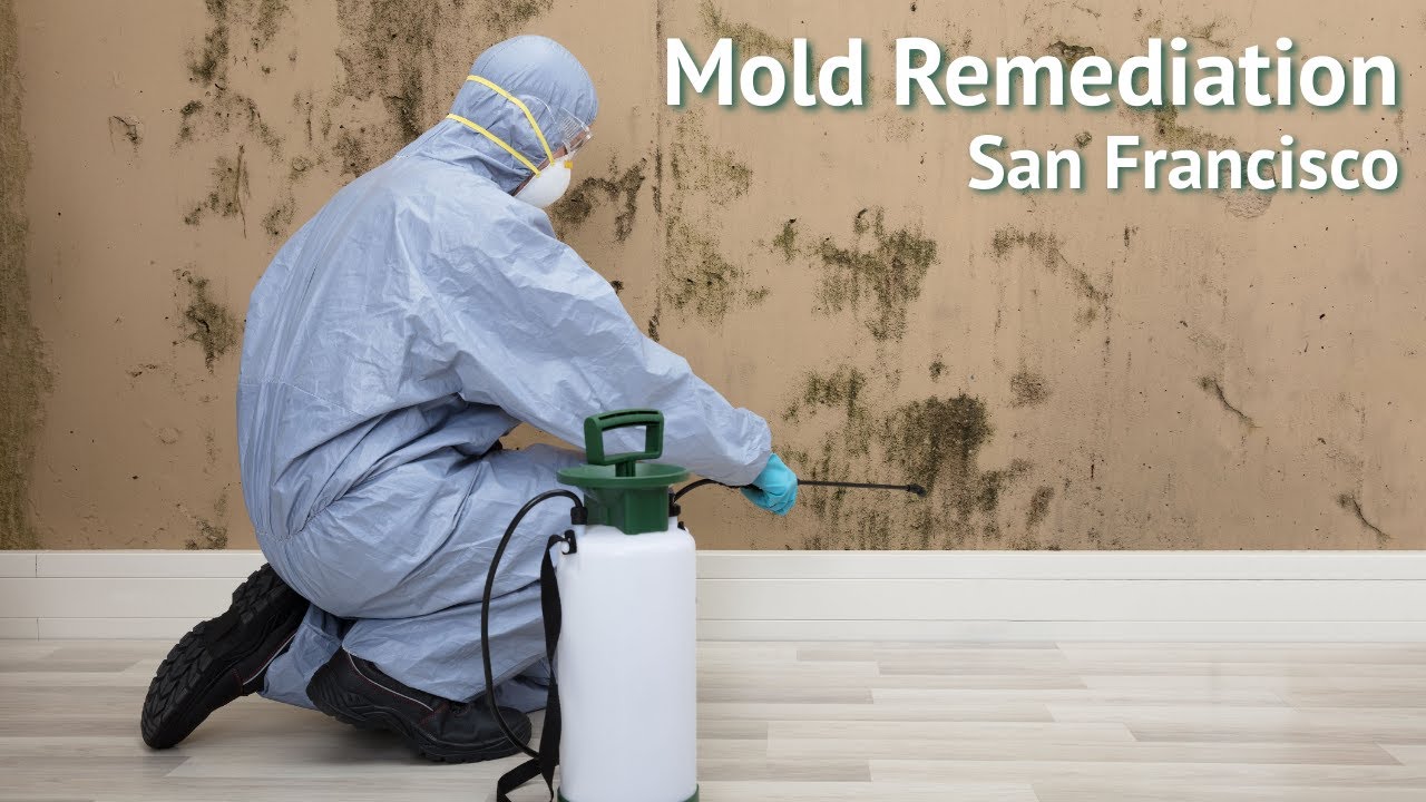 Mold Remediation, San Francisco - Swift Restoration