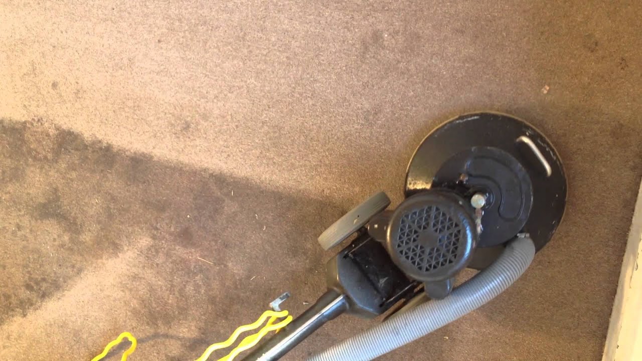 Carpet Cleaning for a VERY dirty carpet. in Norfolk, VA