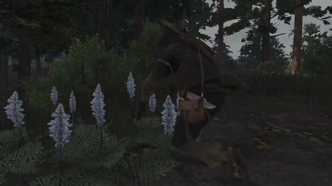 playing Red dead redemption day 17