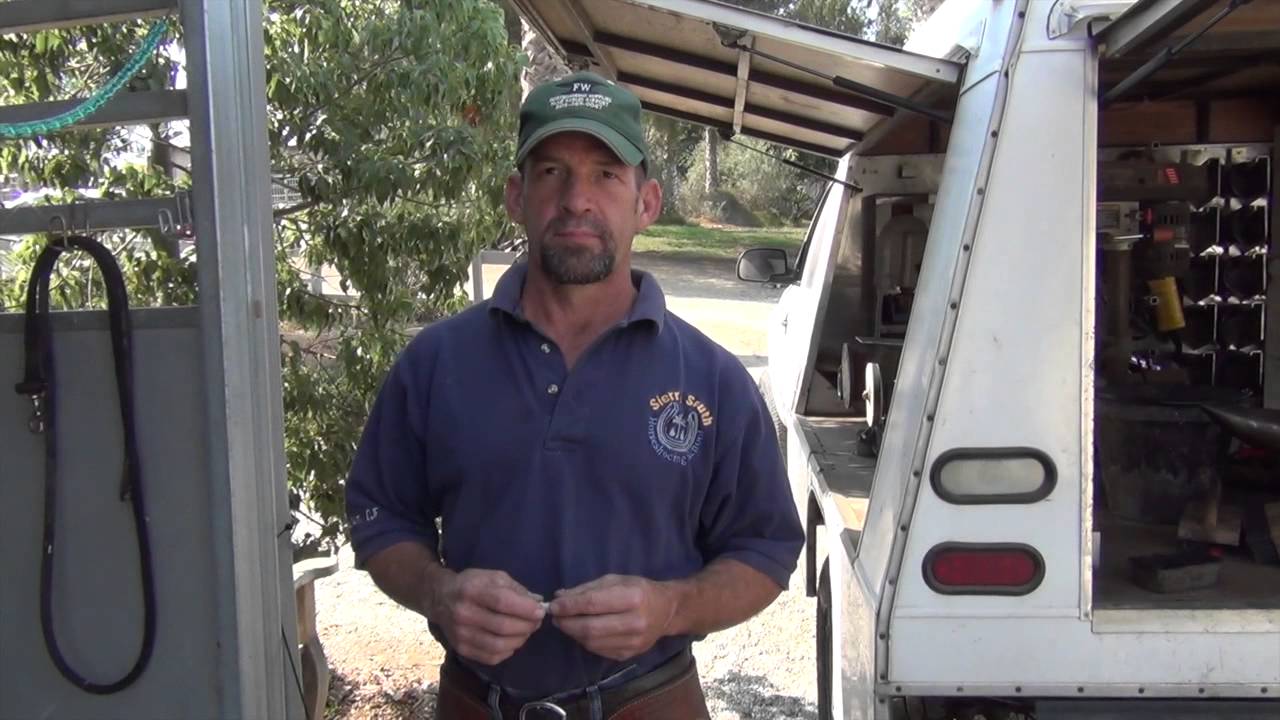 Shoeing: The Mystery of the Break Over