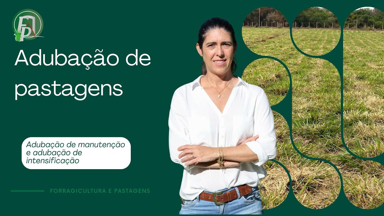 ADUBA&Ccedil;&Atilde;O DE PASTAGENS