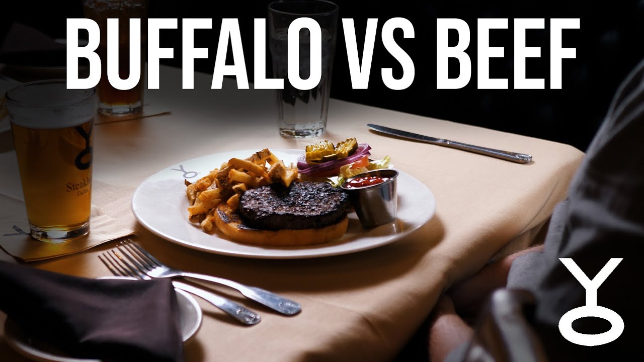 Texas Showdown  Beef vs Buffalo
