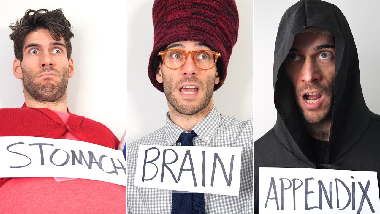 If Body Organs Were People