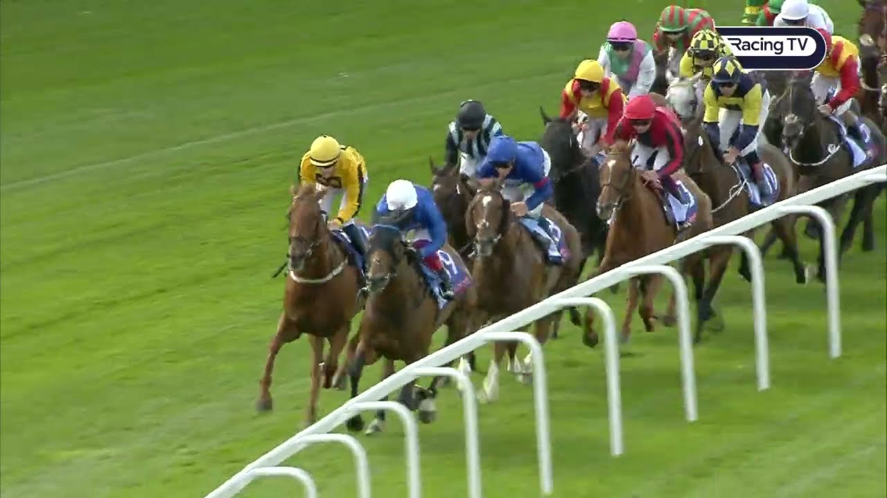 Frankie Dettori at his BRILLIANT best! Trawlerman wins the £500,000 Sky Bet Ebor at York!