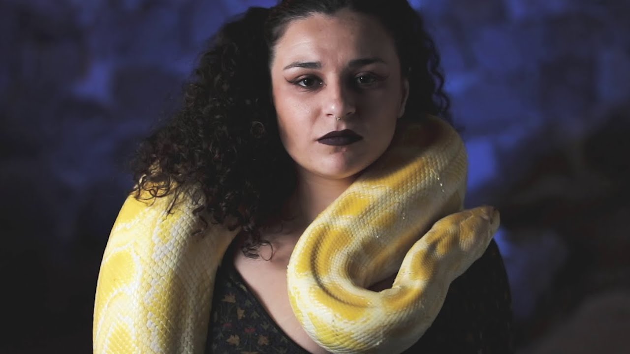 Pllws - Bad Day ft. Nava (Official Video)