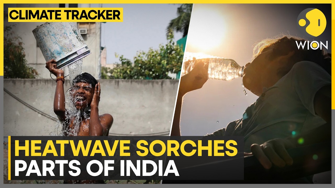 India Climate Crisis: Heatwave Scorches Parts Of India As Temperatures Soar | WION Climate Tracker