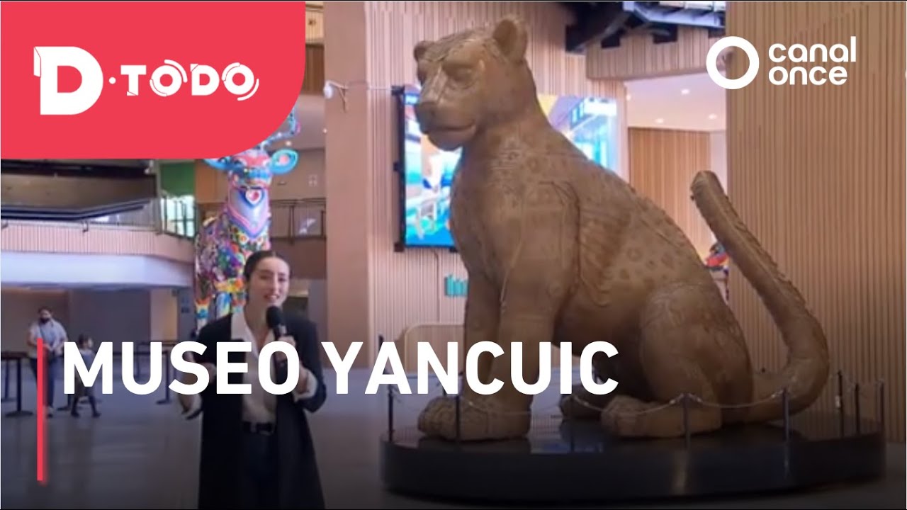 D Todo - Museo Yancuic (26/02/2025)