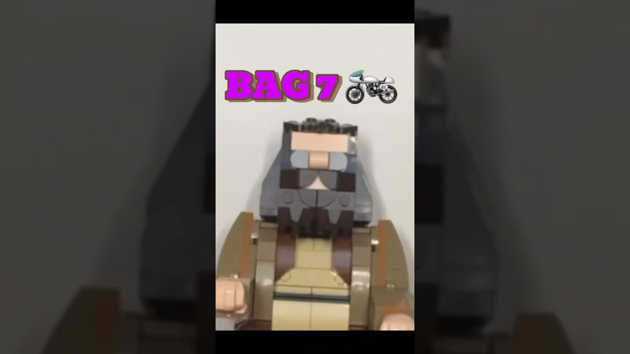 Bag 7 of Hagrid & Harry’s Motorcycle Ride | LEGO Build 