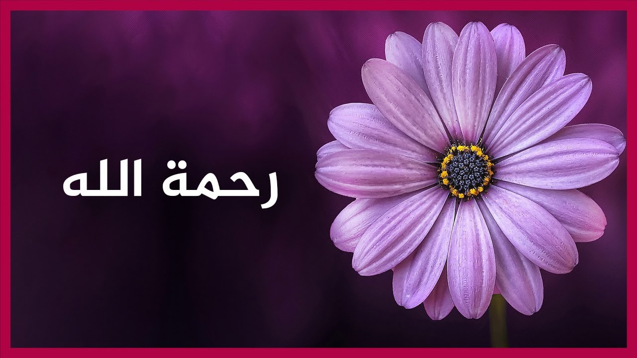 🔴 مظاهر رحمة الله عز وجل 🌴د. طارق الطواري