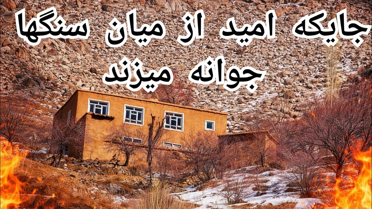 The loneliest Home