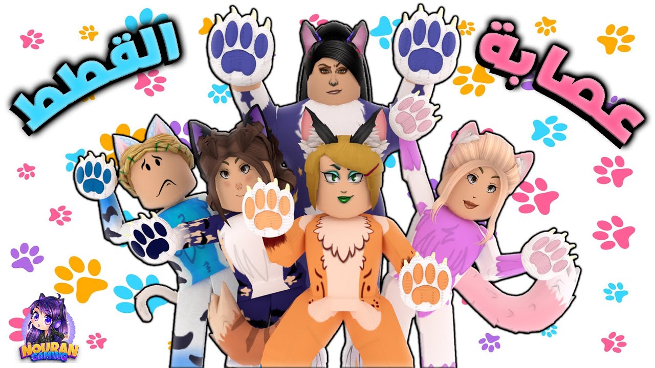 عصابة القطط ومشاكلها ! 🐱😲 - الأميرة الظالمة  الموسم الثاني (حـلقة 134)