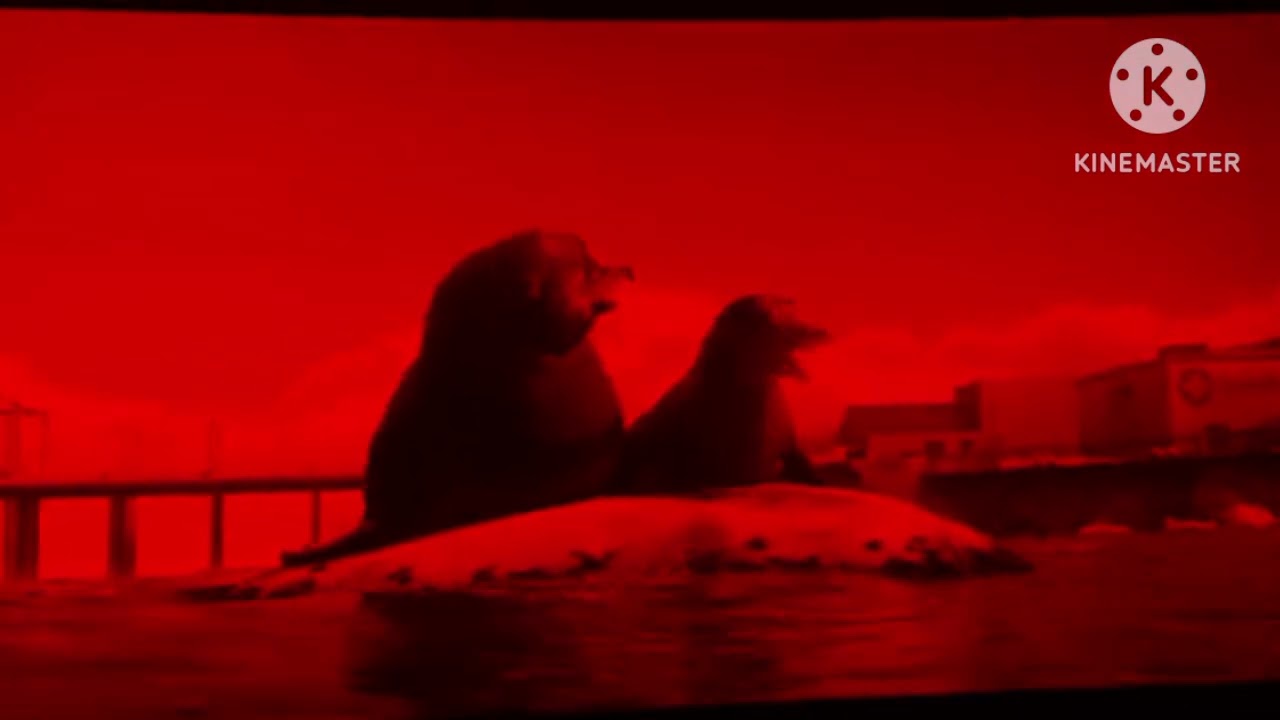 (FAKE) Finding Dory (2016) Lost Director's Cut Credits My Version (JUMPSCARE WARNING ⚠️🚨)