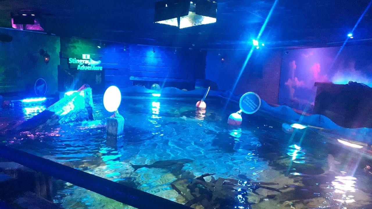 Sealife centre blackpool 20/01/24