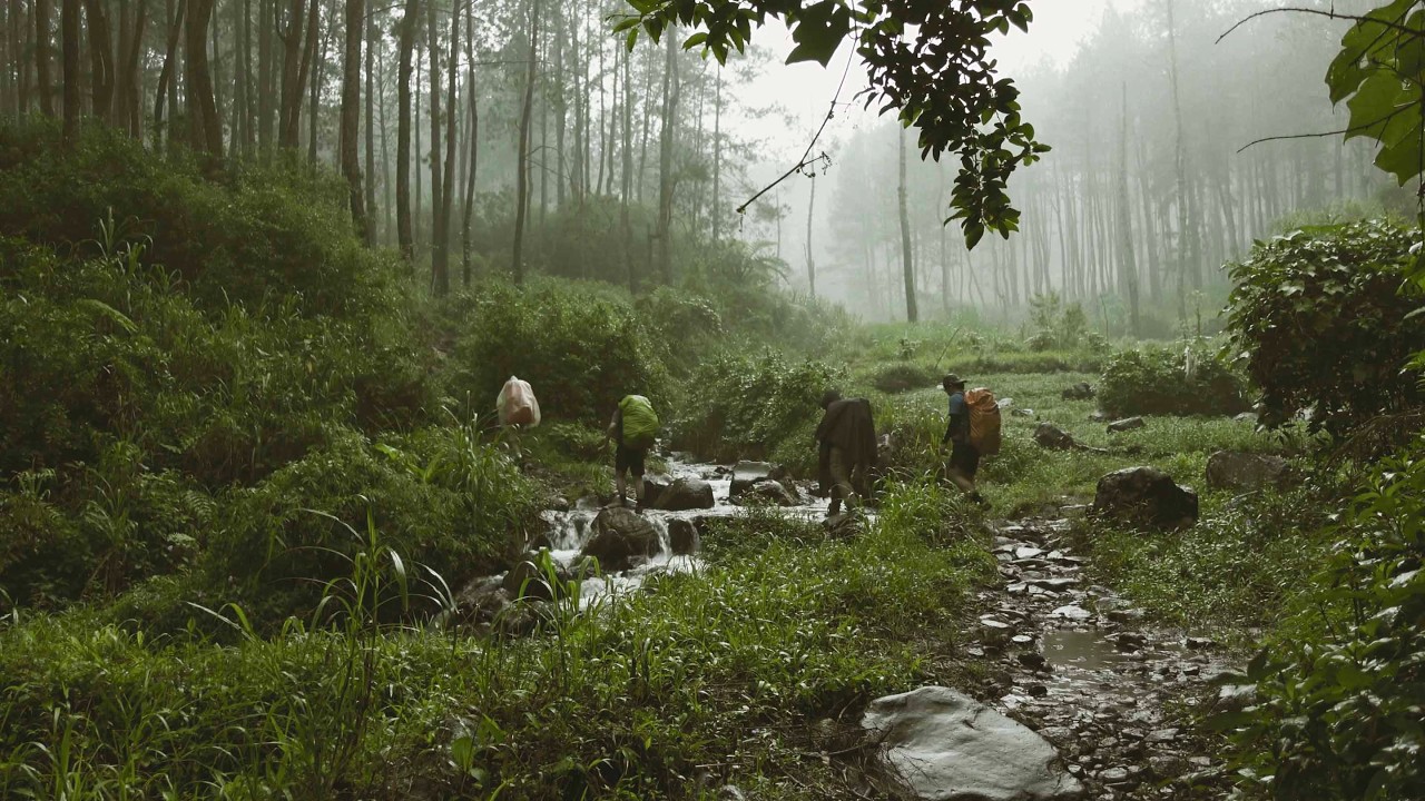 Gunung Slamet via Guci | Rainy Season