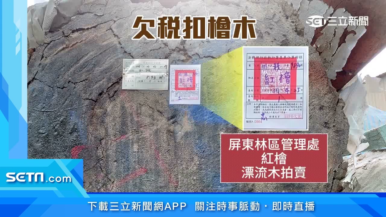 欠千萬所得稅！老翁木材廠「國寶紅檜」遭查封｜三立新聞台