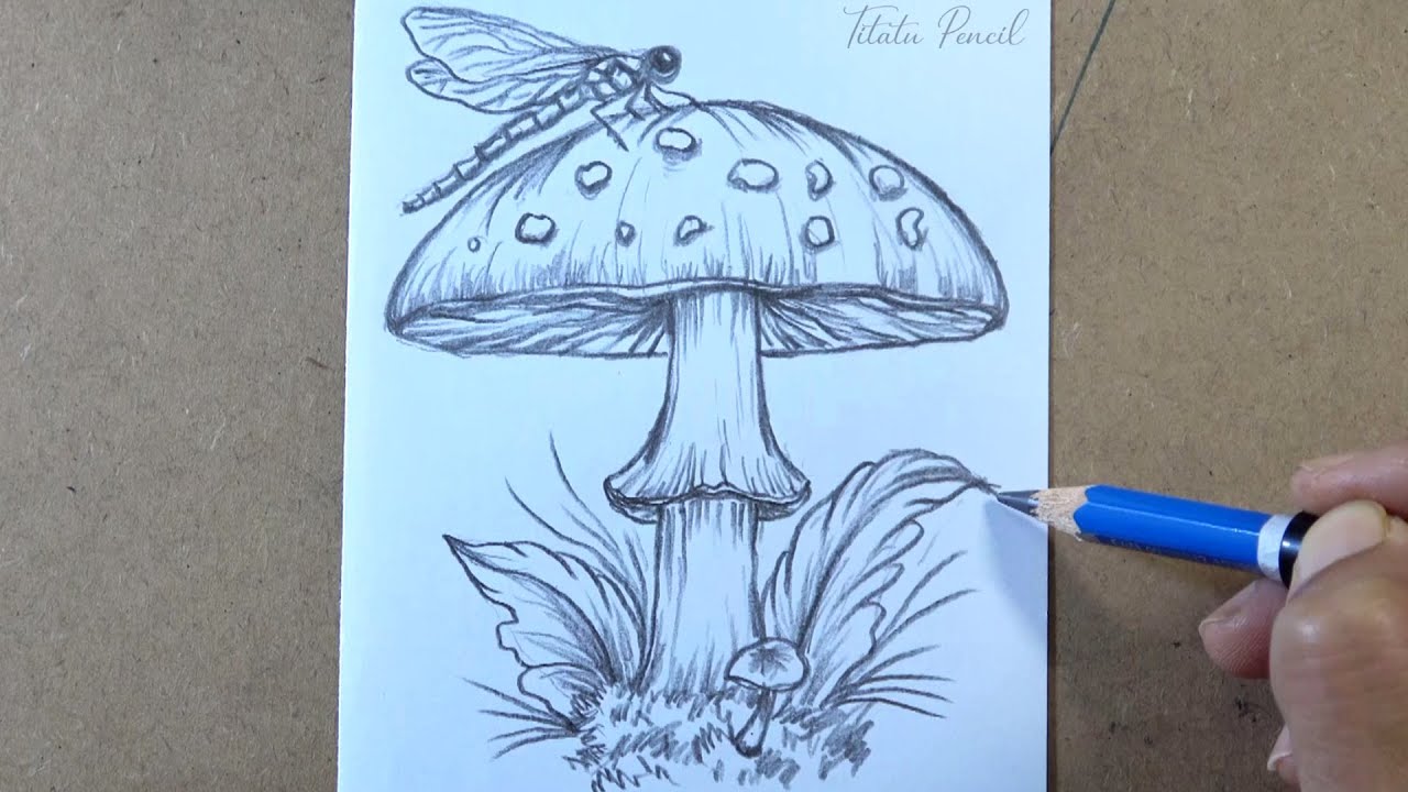 How to draw Dragonfly On Mushroom | Pencil sketch for Beginners