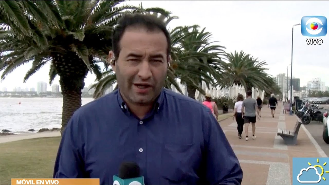 Móvil- Movimiento turístico en Punta del Este
