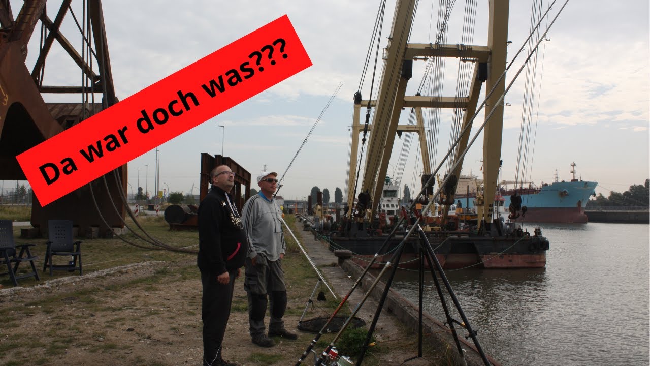 Zandertour Elbe Hamburger Hafen 2020