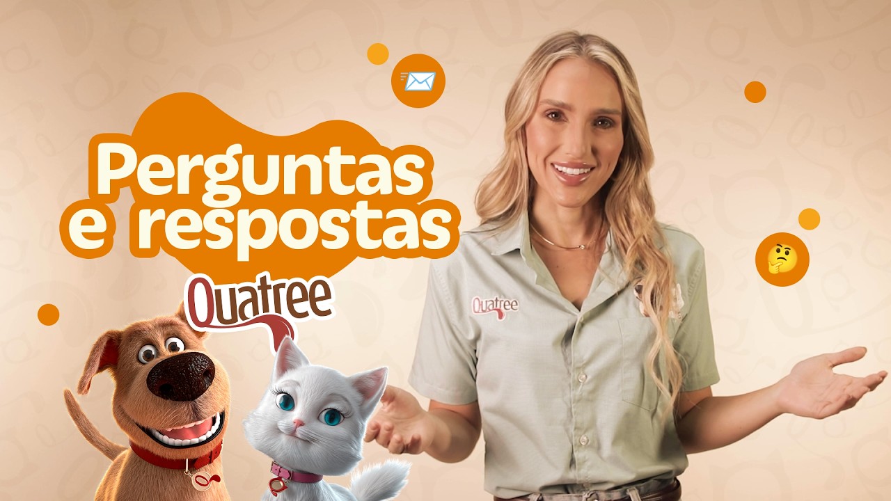 Perguntas e respostas Quatree