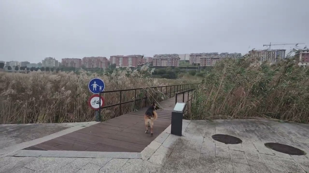 Vivo viajando       España, Santander...4k & 8k